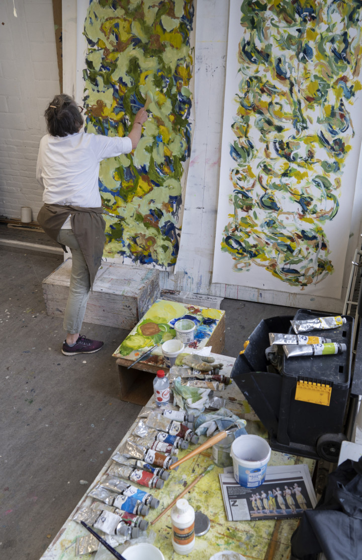 Academie Arendonk opleiding volwassenen Deeltijds Kunstonderwijs DKO Beeldende en Audiovisuele Kunsten BAK langlopende studierichting 4de graad optie Schilderkunst