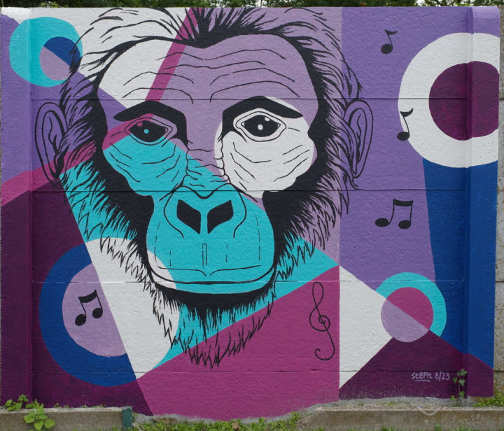 Nieuwsbrief 28 jan 2025