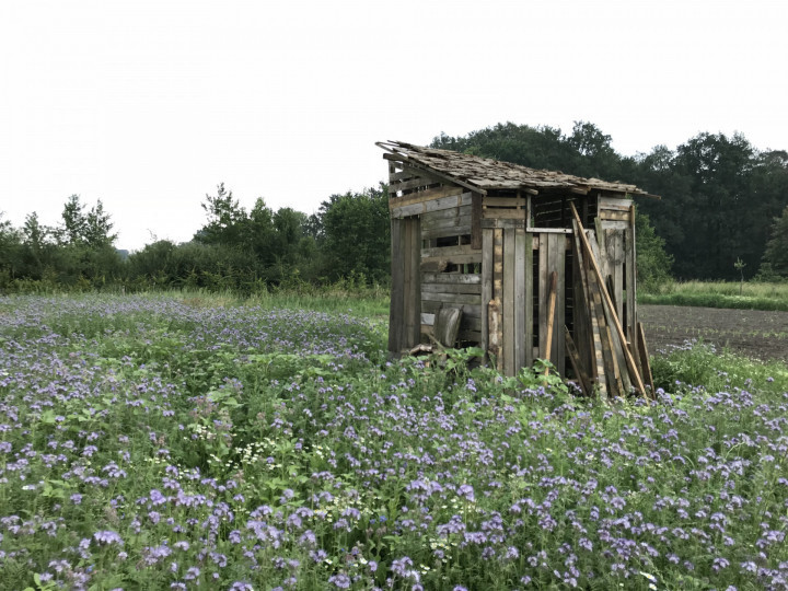 Academie Arendonk Deeltijds Kunstonderwijs DKO Beeldende en Audiovisuele Kunsten BAK nieuws project Kunst in t Veld fietsroute 2018