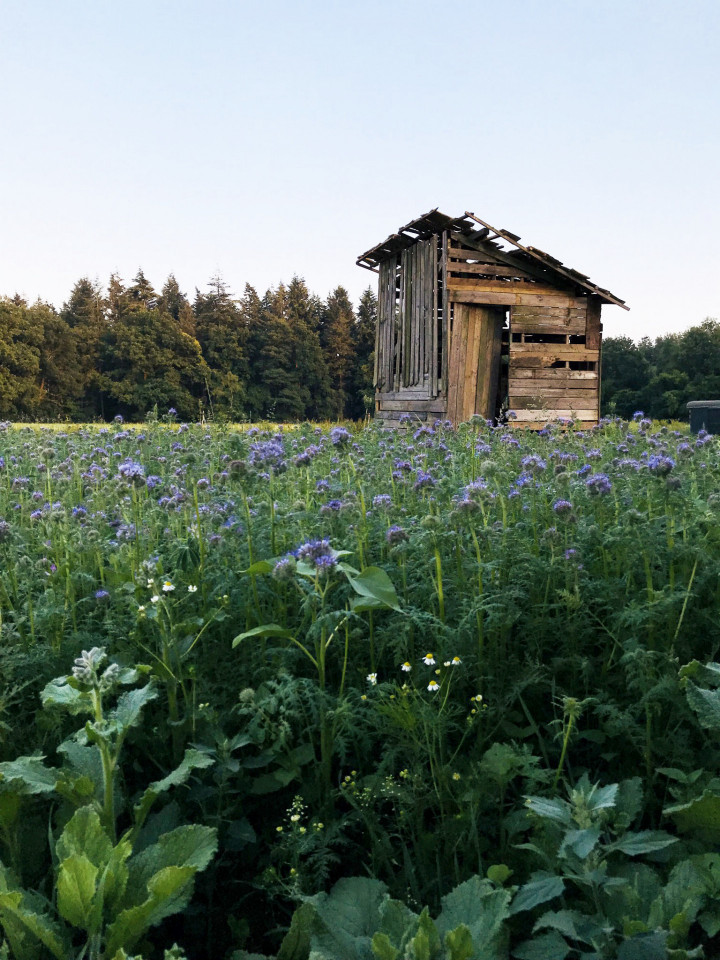 Academie Arendonk Deeltijds Kunstonderwijs DKO Beeldende en Audiovisuele Kunsten BAK nieuws project Kunst in t Veld fietsroute 2018