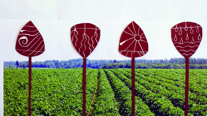 Academie Arendonk Deeltijds Kunstonderwijs DKO Beeldende en Audiovisuele Kunsten BAK nieuws project Kunst in t Veld fietsroute 2018