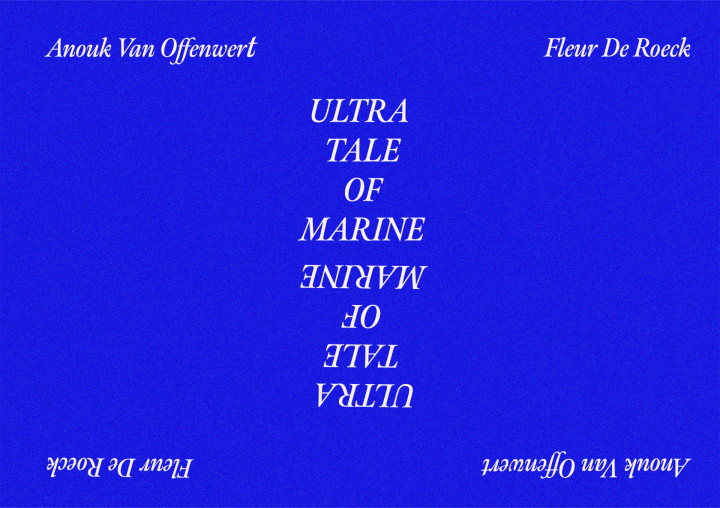Academie Arendonk Deeltijds Kunstonderwijs DKO Beeldende en Audiovisuele Kunsten BAK nieuws tentoonstelling leraars Anouk Van Offenwert Ultra tale of marine