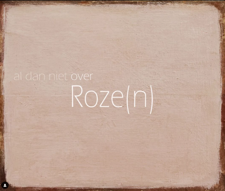 Academie Arendonk Deeltijds Kunstonderwijs DKO Beeldende en Audiovisuele Kunsten BAK nieuws tentoonstelling leraars Veerle Stevens al dan niet over Roze(n)