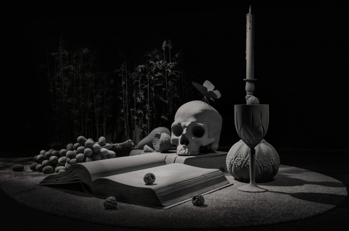 Academie Arendonk Deeltijds Kunstonderwijs DKO Beeldende en Audiovisuele Kunsten BAK vak Kunst en Cultuur themales stilleven