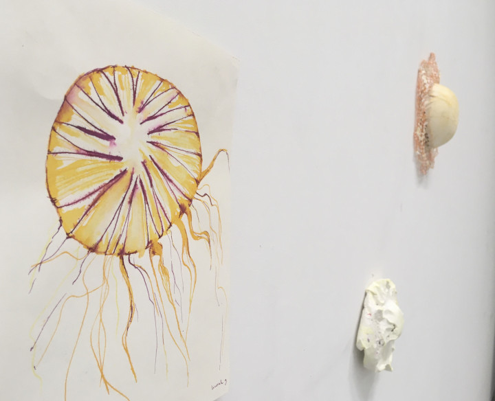 Academie Arendonk opleiding volwassenen Deeltijds Kunstonderwijs DKO Beeldende en Audiovisuele Kunsten BAK langlopende studierichting 4de graad optie Keramiek