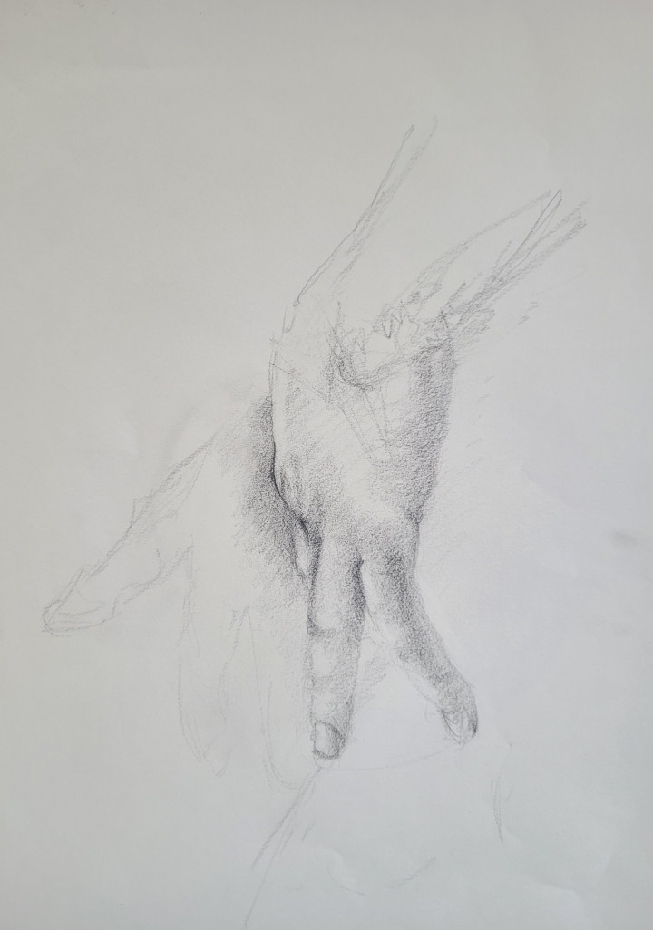 Academie Arendonk opleiding volwassenen Deeltijds Kunstonderwijs DKO Beeldende en Audiovisuele Kunsten BAK langlopende studierichting 4de graad optie Levend Model tekenen