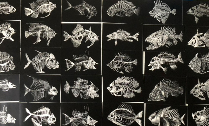 Academie Arendonk hoofdvestigingsplaats en vestigingsplaats Kasterlee opleiding jongeren Deeltijds Kunstonderwijs DKO Beeldende en Audiovisuele Kunsten BAK 3de graad optie Beeldatelier