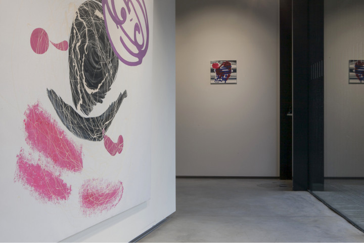 Galerie NZ dependance Academie Arendonk Deeltijds Kunstonderwijs DKO Beeldende en Audiovisuele Kunsten BAK expo Koen Liekens 9-25 november 2017