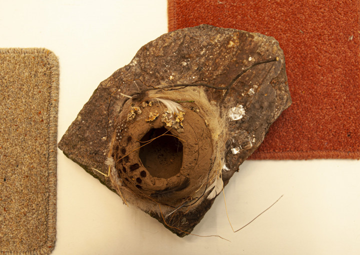 Galerie NZ dependance Academie Arendonk Deeltijds Kunstonderwijs DKO Beeldende en Audiovisuele Kunsten BAK expo Kop 15 26 maart 2022