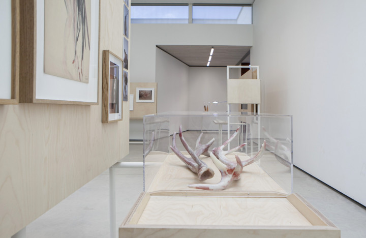 Galerie NZ dependance Academie Arendonk Deeltijds Kunstonderwijs DKO Beeldende en Audiovisuele Kunsten BAK project Huid RASA 15 26 september 2020