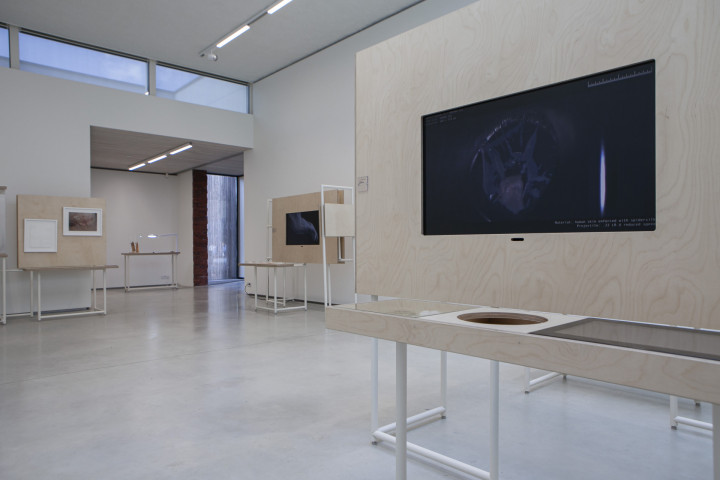 Galerie NZ dependance Academie Arendonk Deeltijds Kunstonderwijs DKO Beeldende en Audiovisuele Kunsten BAK project Huid RASA 15 26 september 2020