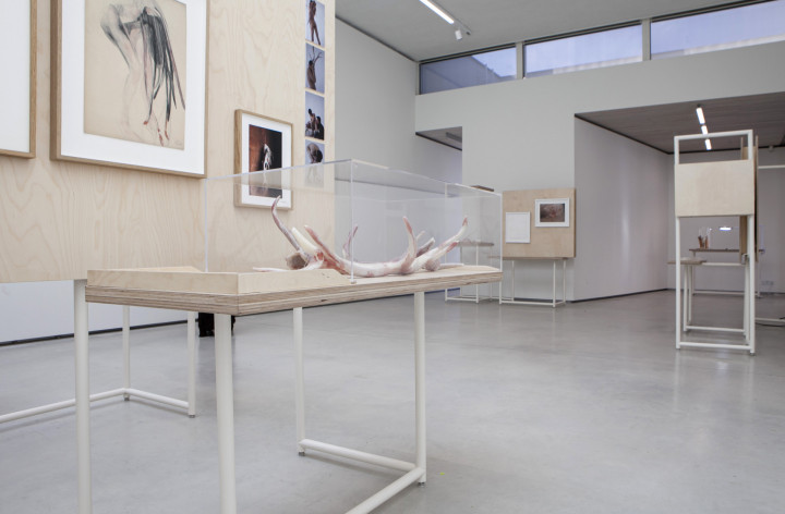 Galerie NZ dependance Academie Arendonk Deeltijds Kunstonderwijs DKO Beeldende en Audiovisuele Kunsten BAK project Huid RASA 15 26 september 2020