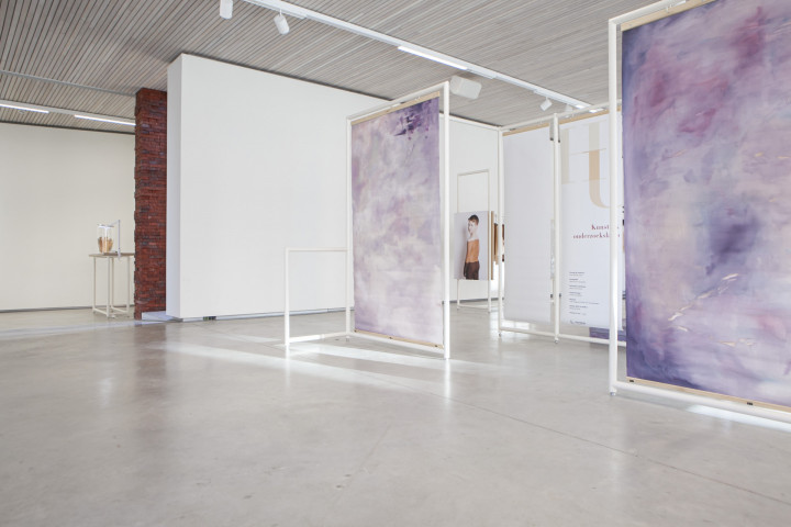 Galerie NZ dependance Academie Arendonk Deeltijds Kunstonderwijs DKO Beeldende en Audiovisuele Kunsten BAK project Huid RASA 15 26 september 2020